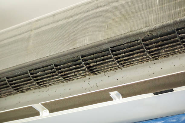 Best HVAC Maintenance and Cleaning  in Twinsburg, OH